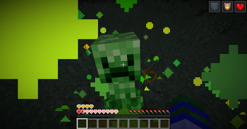 Totem used