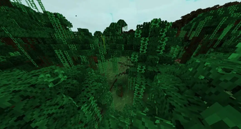 jungle