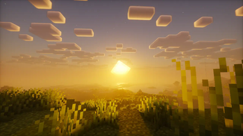 A new day