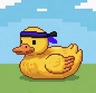 Duck_Is_Stuck