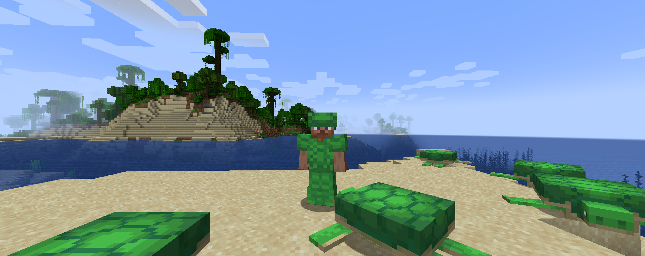 Turtle Armor With Turtles On A Beach