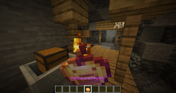 Manzana de Notch (spanish)