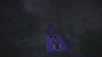 Third-person view