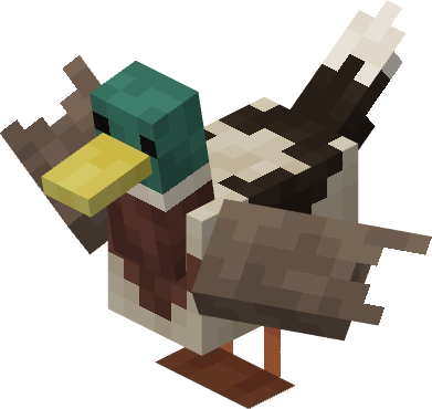 Duck