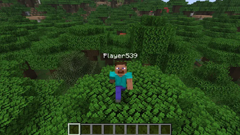Second-person perspective