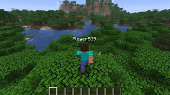 Third-person perspective