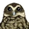 caxapexac