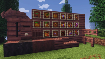 Loquat items