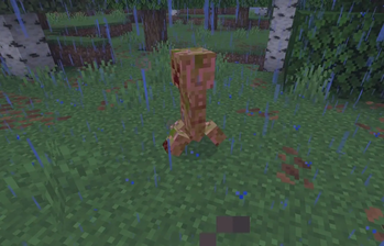 Creeper in rain