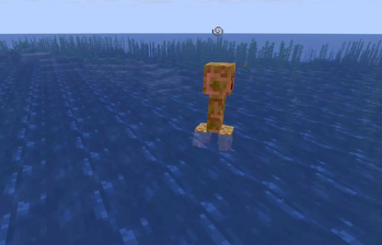 Creeper in water