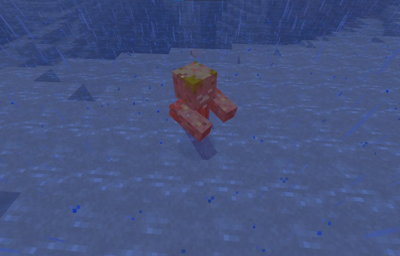 Drowned in water