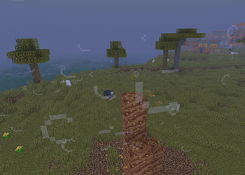 termites, wind & updated village