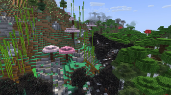 biome collage 