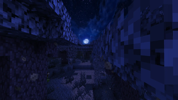 Midnight in pale forest