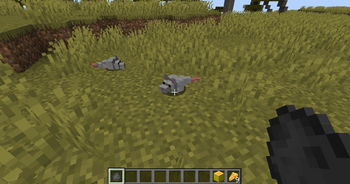 Spawning rats with spawn eggs