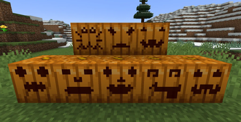 Some Carved Pumpkins
