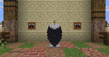 Wing Back & Item Showcase