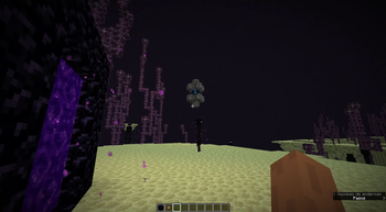 The Nether