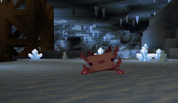 Curse 5