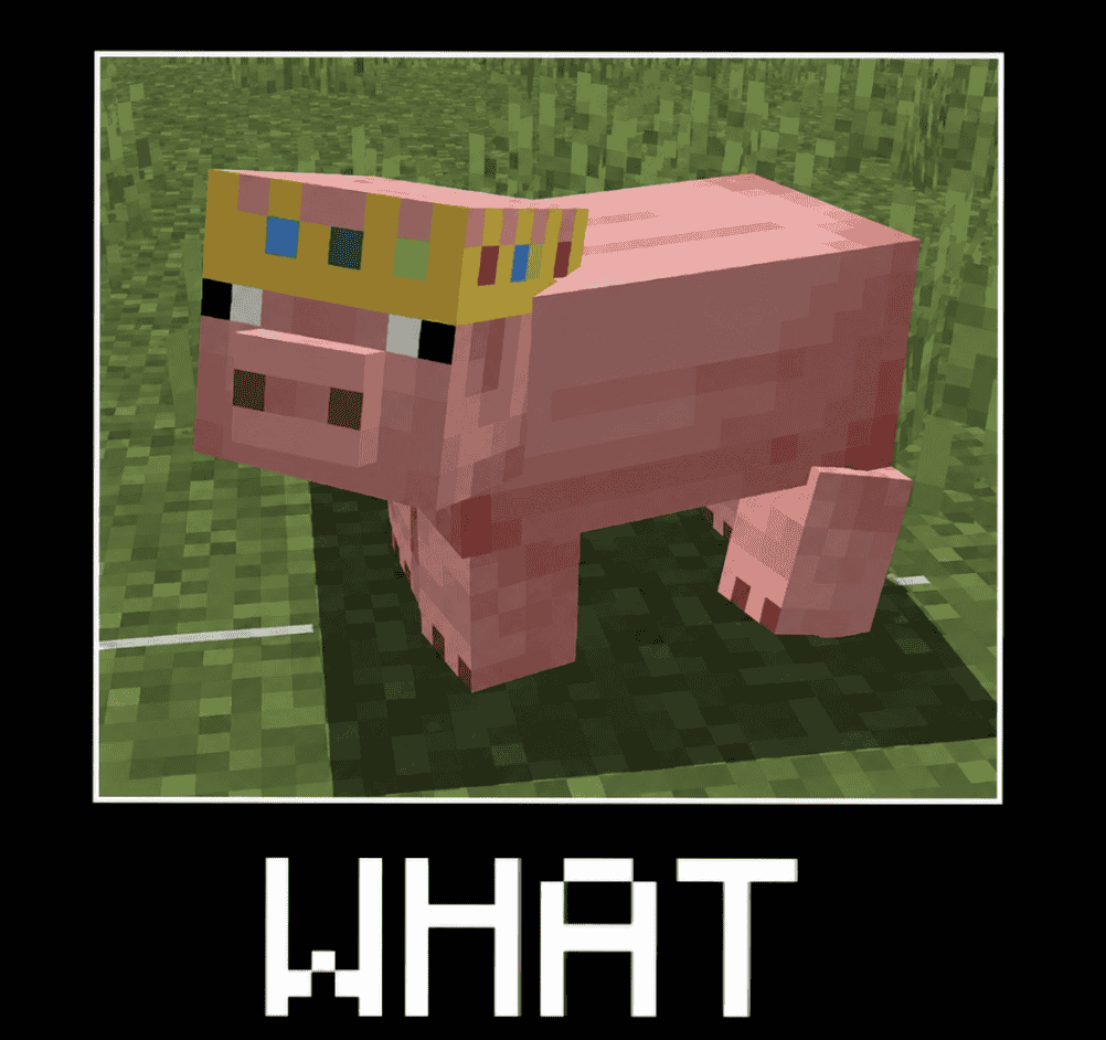 WHAT Technoblade Pig