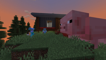 Oink