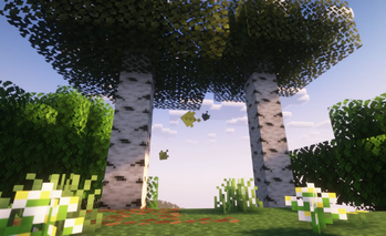 Birch leaves