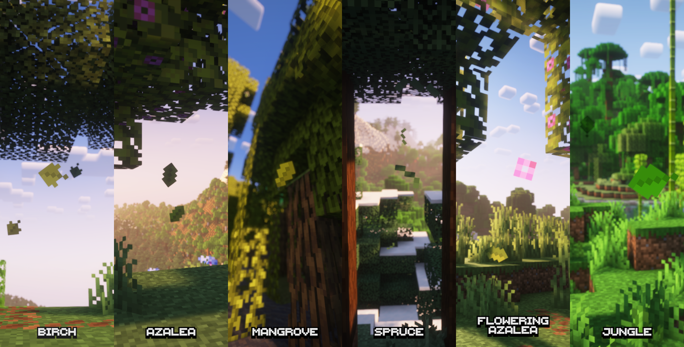 overview of the particle changes and additions