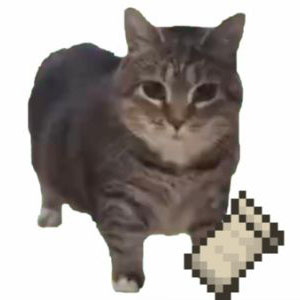 OO EE A E A Fabric
