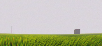 Level Infinity Grass