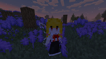 Banner - Peaceful Fairy