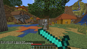 sword blocking