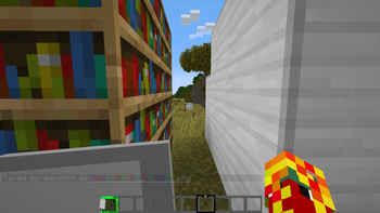 Between Bookshelves and Iron Blocks with Shield