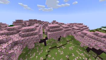 Without Resource Pack