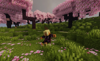 EmoteCraft