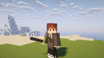 Third Person View