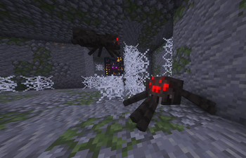 Spider in the Dungeon