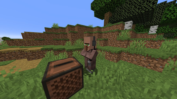 Villager Profession 2