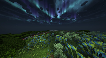 Night sky