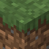 Birch Forest Grass Everywhere!