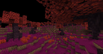 (No resource pack)