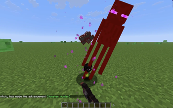 Enderman Head Drop