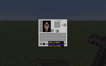 Player Head Tooltip