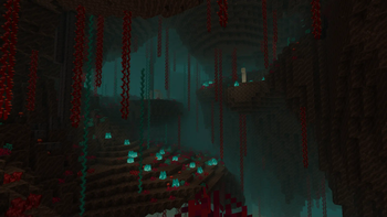 Nether