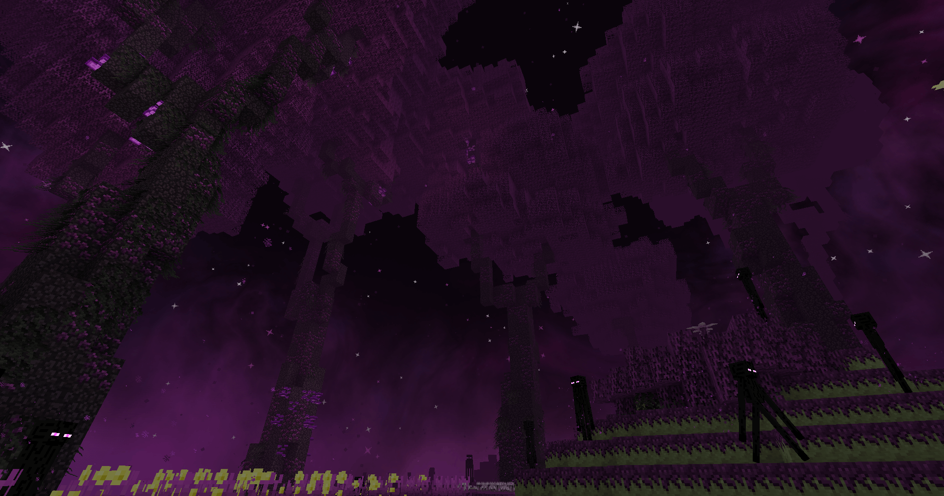 BetterEnd Forest (i think?)