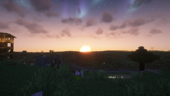 sunset