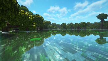 mangrove swamp