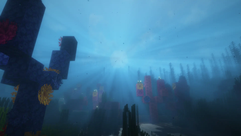 warm ocean
