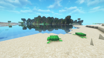 beach