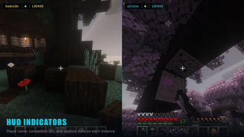Per-player HUD indicators