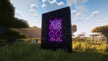 The Nether Portal